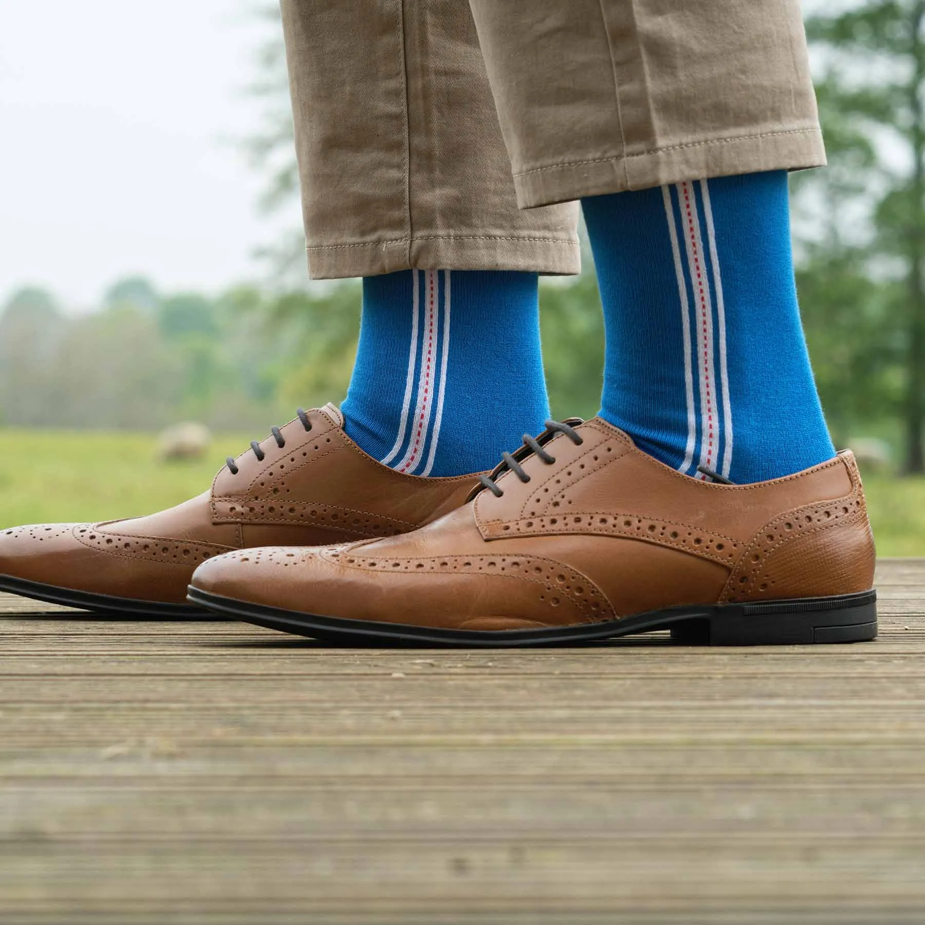 Andover Men's Socks - Blue