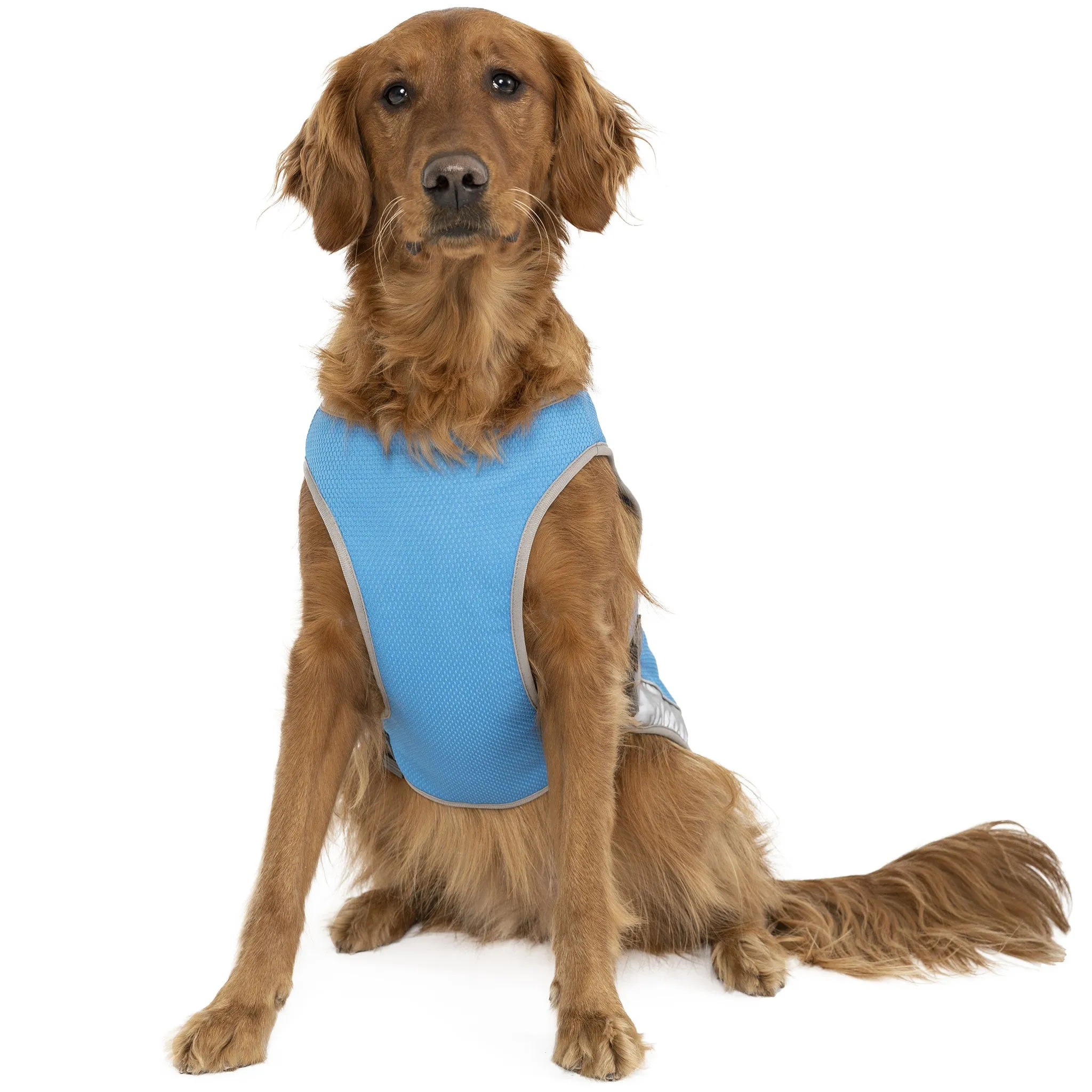 Canada Pooch Chill Seeker Aqua Cooling Dog Vest