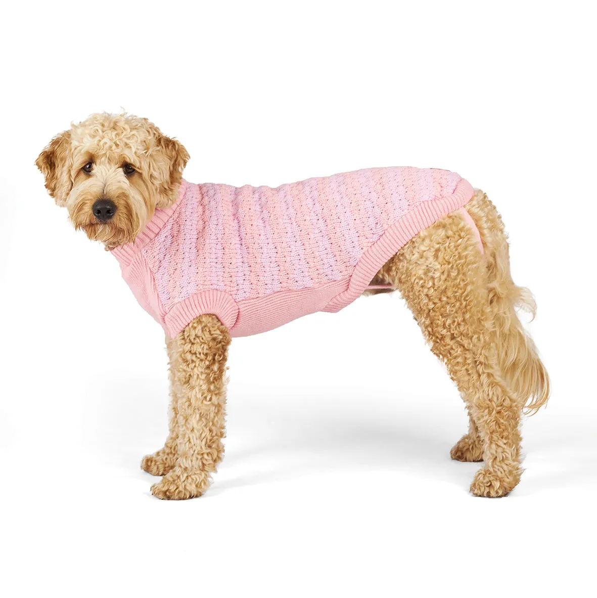 Kazoo Apparel Posy Dog Jumper Medium ***