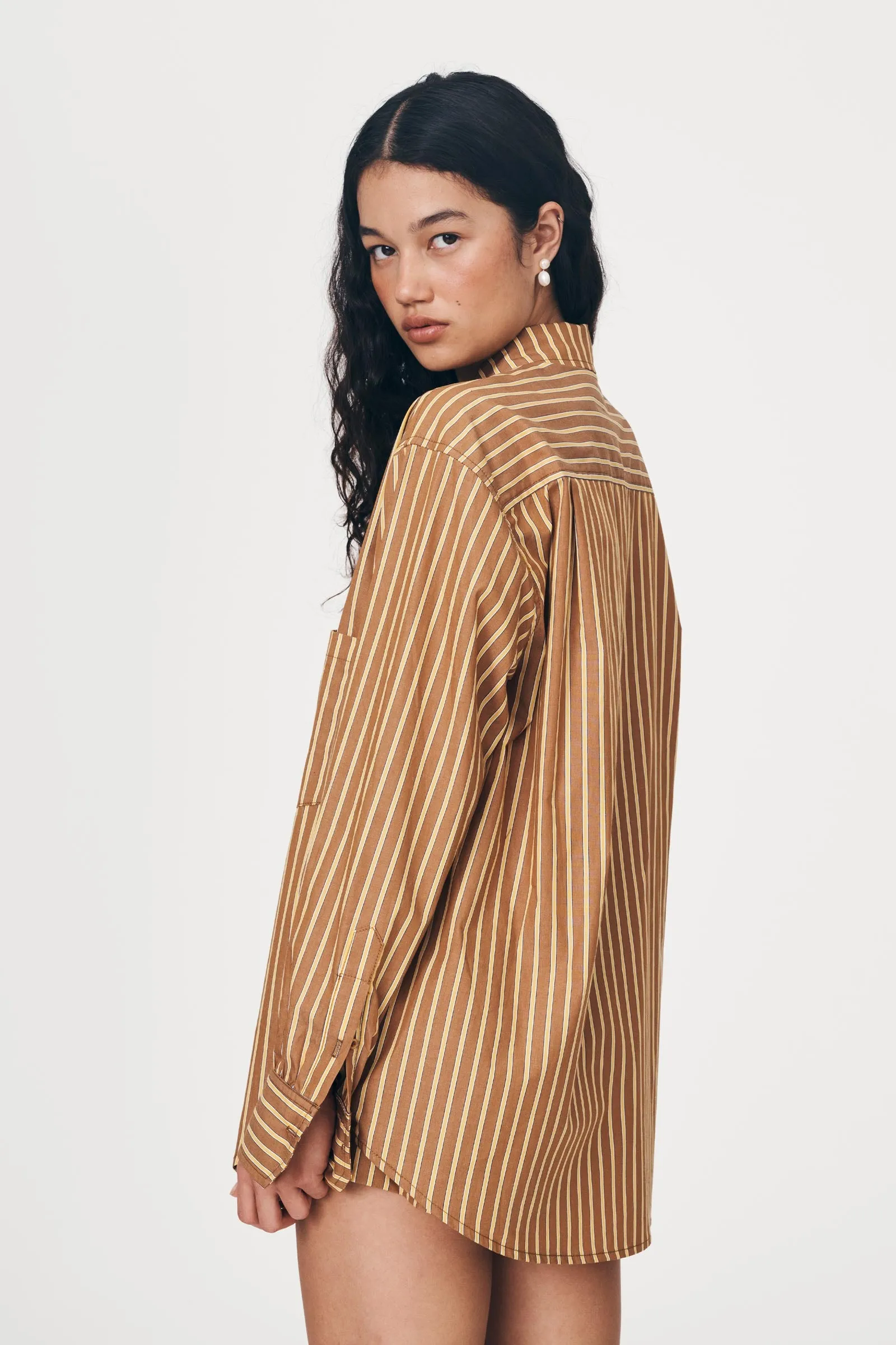 Ramona Stripe Long Sleeve Shirt - Tan Stripe